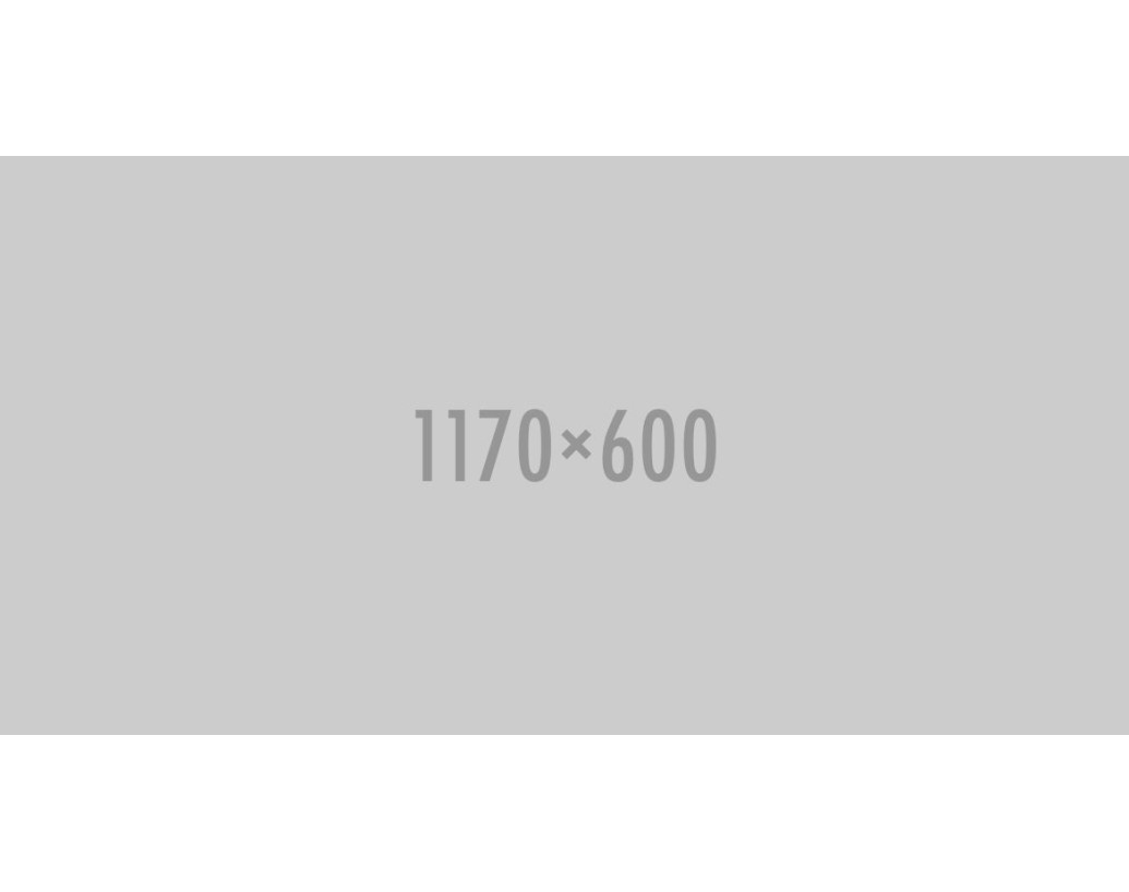 Ipsum cursus vestibulum at interdum Vivamus